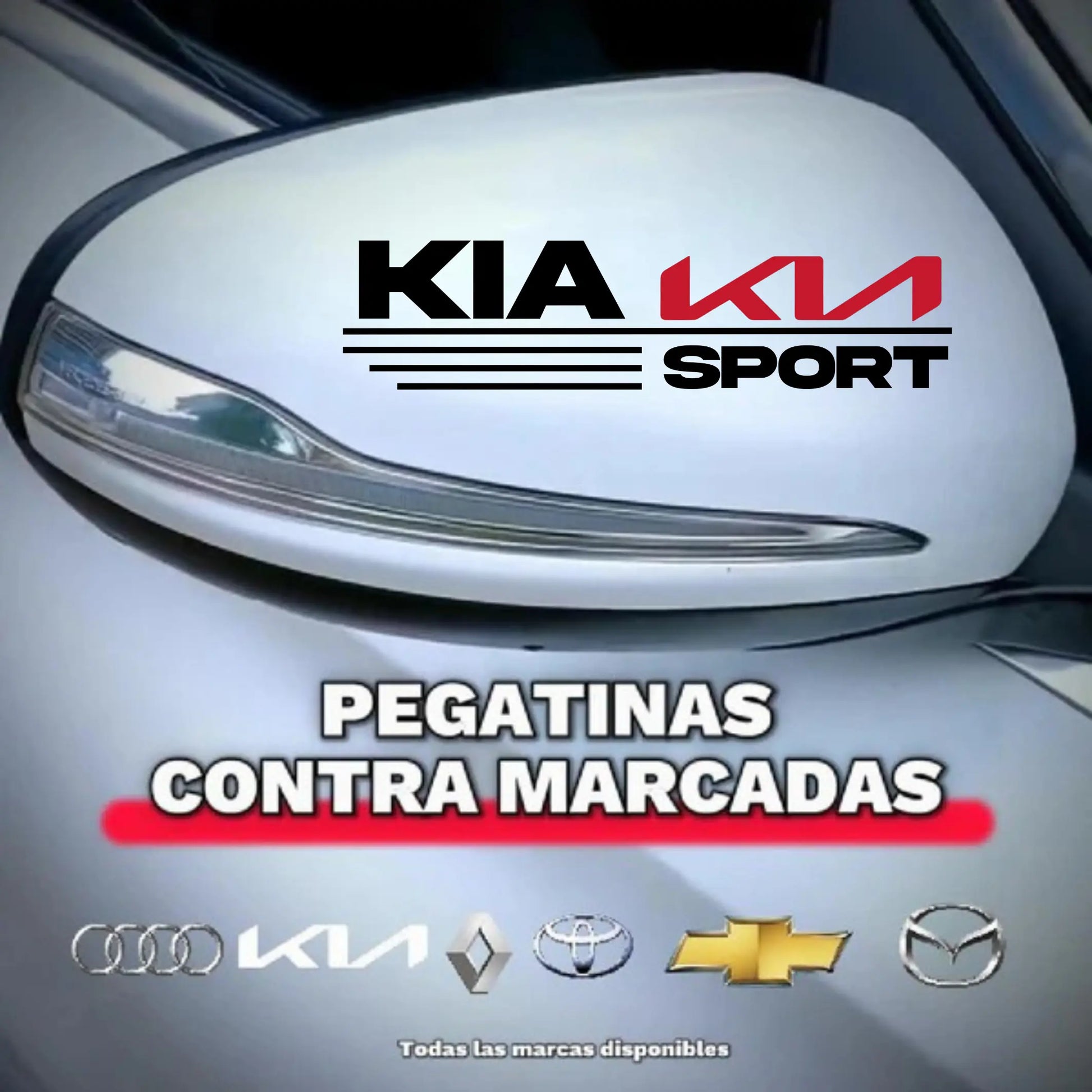 Pegatina para los retrovisores x 2 Unidades 108 pedidos el dia de hoy
